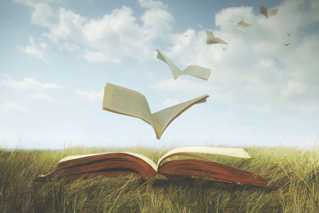 Livro aberto em um campo, representando a divulgação da doutrina espírita por meio da leitura e do conhecimento.