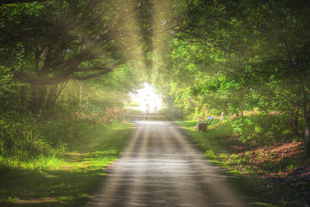 Caminho em meio à natureza iluminado por raios de sol, com figuras ao fundo seguindo em direção à luz.