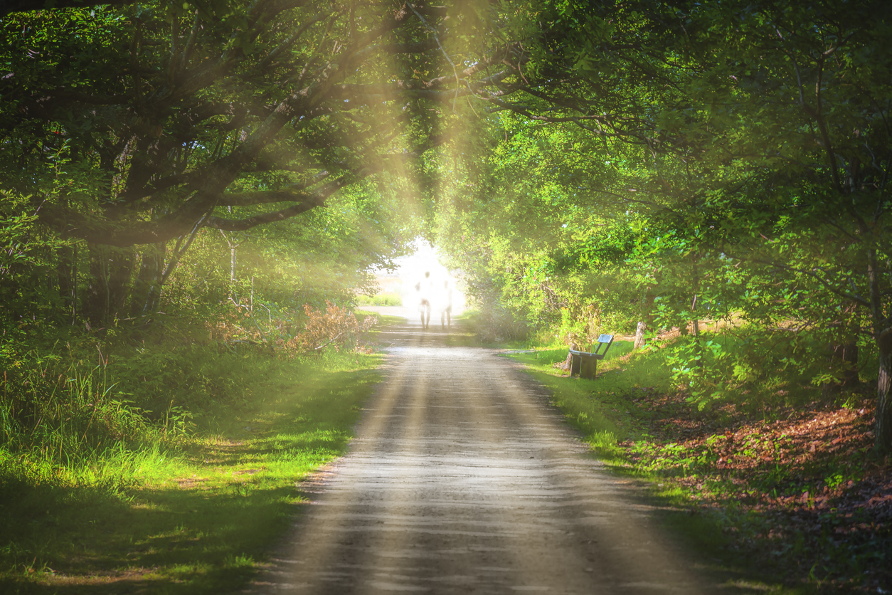 Caminho em meio à natureza iluminado por raios de sol, com figuras ao fundo seguindo em direção à luz.